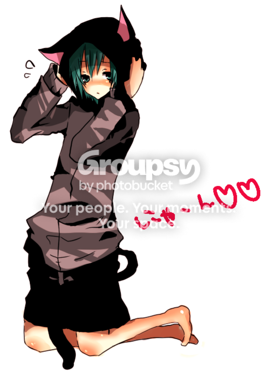 User Image
